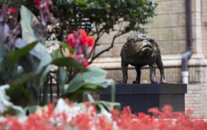 Bronze bulldog statue outside of Memorial Hall